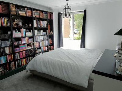 Picture 15